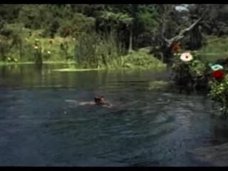 Jorge Rivero (a.k.a. George Rivers) As Adam -swimming
